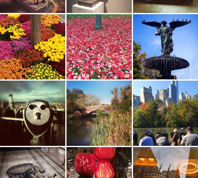 Screenshot of Eduardo Libby's Instagram photos.