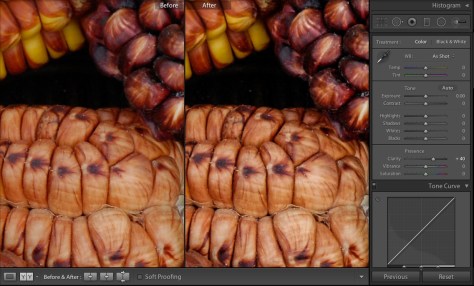 Image showing the effect of a Lightroom Clarity adjustment on a Nikon D70 photograph