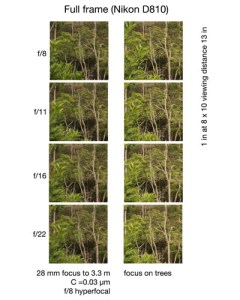 Photos to test hyperfocal distances.