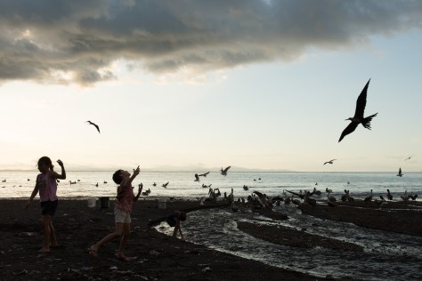 Unedited image of kids feeding fish scraps to seabirds in Tarcoles, Costa Rica.