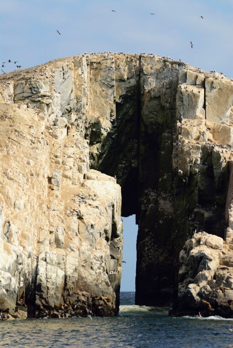 Photo of a natural bridge or arch in the Palomino's Islands. Photo by Eduardo Libby.