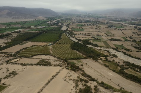 Aerial Photo of the Nazca River Valley. Photo by Eduardo Libby.