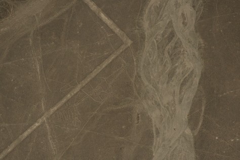Photo of the whale at the Nazca Lines. Photo by Eduardo Libby.