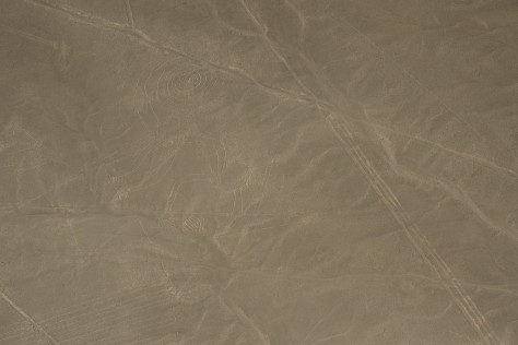 Photo of the Monkey at the Nazca Lines. Photo by Eduardo Libby.