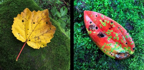 Image of a yellow leaf and a red leaf in the forest floor. Photo by Eduardo Libby