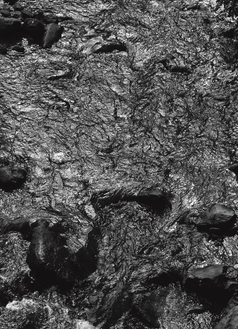 Image of a creek showing sunlight reflections. Photo by Eduardo Libby