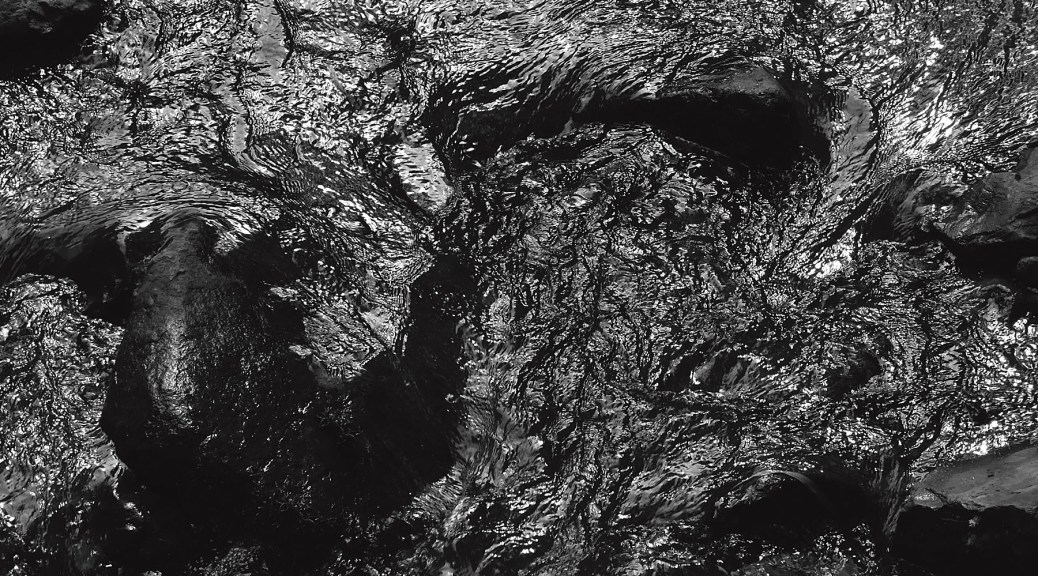 Image of a creek, cropped version, showing sunlight reflections. Photo by Eduardo Libby