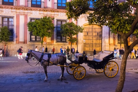 Horse carriage in Seville. Photo by Eduardo Libby.