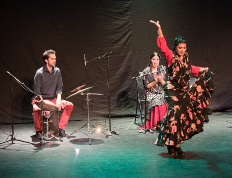 Photo of musicians and dancer in A Tierra Flamenco Show.