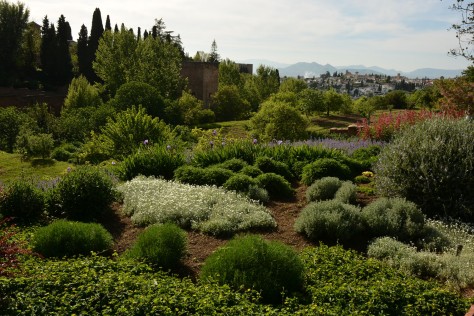 The Gardens of The Alhambra. Photo by Eduardo Libby