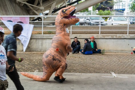 Photo of person wearing costumes. Image by Eduardo Libby