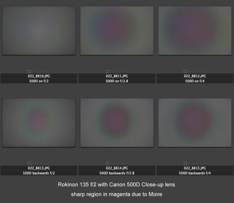 Using a computer screen to reveal the focus field. Image by Eduardo Libby.