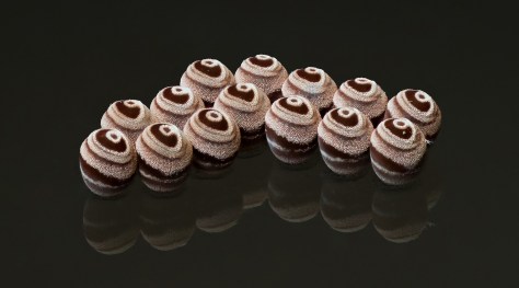 Butterfly eggs on a window glass pane. Photo by Eduardo Libby