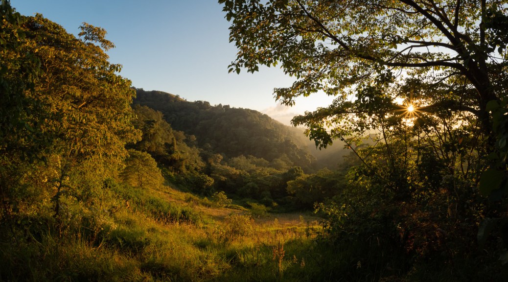 Pastures and forested hills in the Costa Rican highlands. Photo by Eduardo Libby