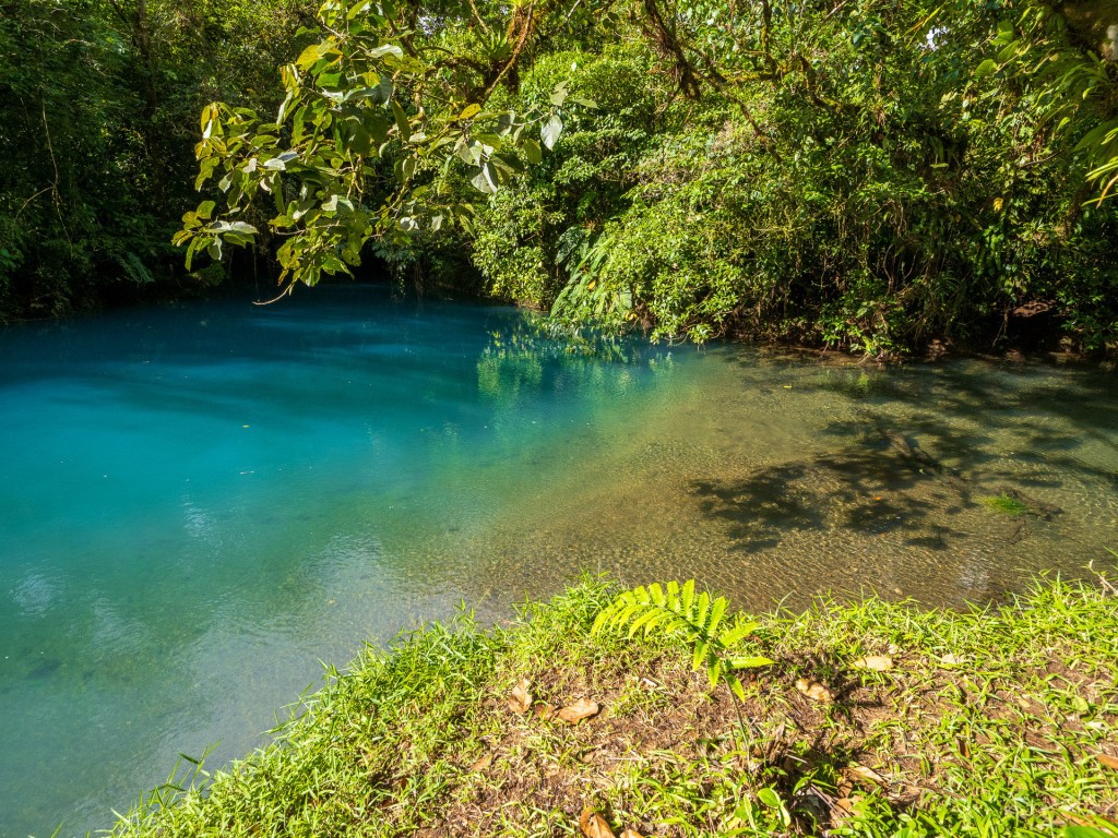 Rio Roble entering the Blue Pond