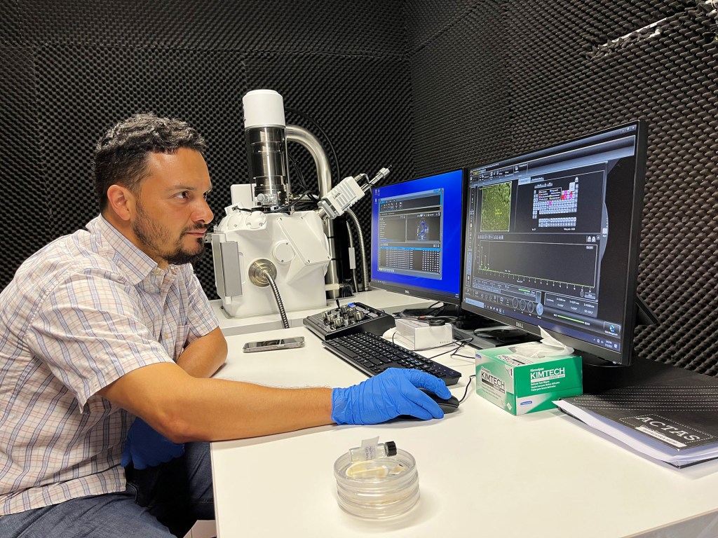 A scientist at a Scanning Electron Microscope