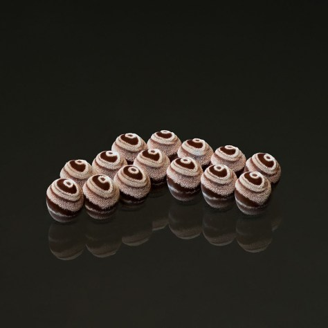 Eggs of Pellaea stictica 